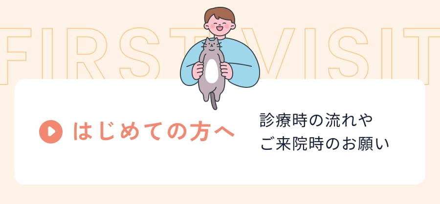 はじめての方へ