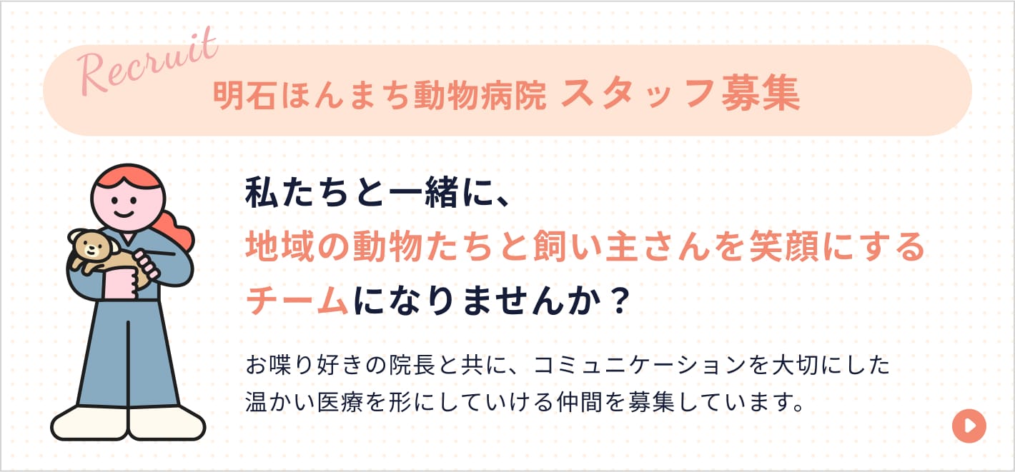 明石ほんまち動物病院 スタッフ募集はこちらから