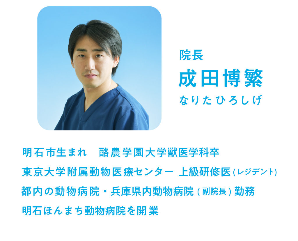 成田博繁なりたひろしげ院長明石市生まれ　酪農学園大学獣医学科卒
東京大学附属動物医療センター　上級研修医(レジデント)
都内の動物病院・兵庫県内動物病院(副院長)勤務
明石ほんまち動物病院を開業